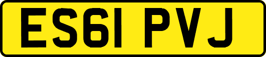 ES61PVJ