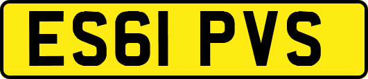 ES61PVS