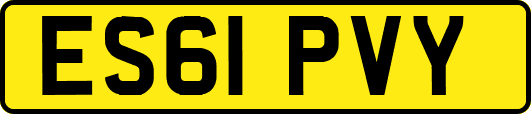 ES61PVY