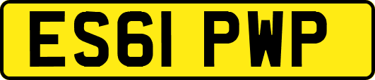 ES61PWP