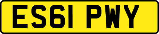 ES61PWY