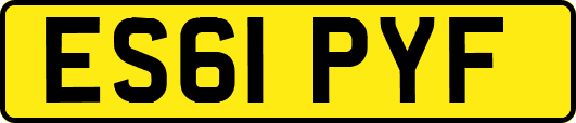 ES61PYF