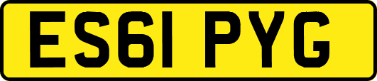 ES61PYG