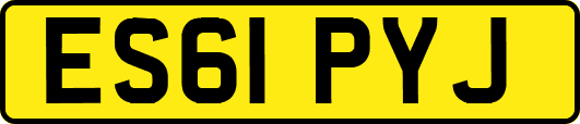 ES61PYJ