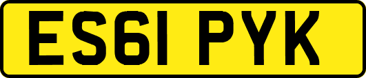 ES61PYK