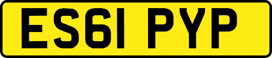 ES61PYP