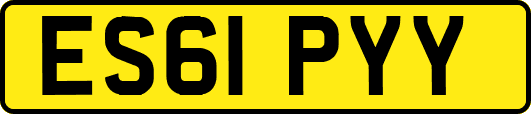 ES61PYY