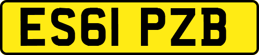 ES61PZB