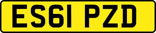 ES61PZD