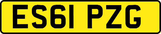 ES61PZG