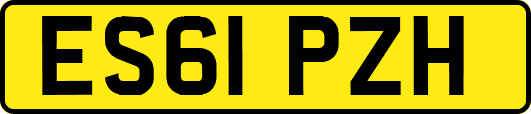 ES61PZH