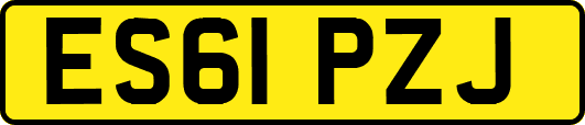 ES61PZJ