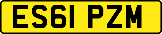 ES61PZM