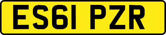 ES61PZR