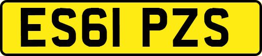ES61PZS