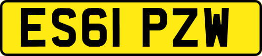 ES61PZW