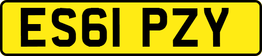 ES61PZY