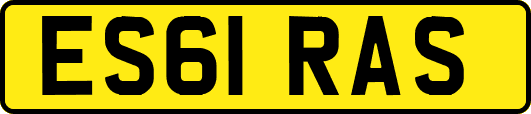 ES61RAS