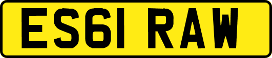 ES61RAW