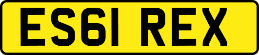 ES61REX