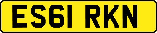 ES61RKN