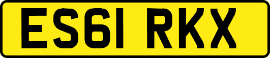 ES61RKX
