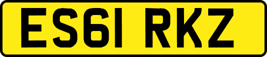 ES61RKZ
