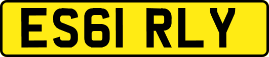 ES61RLY
