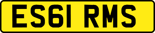 ES61RMS