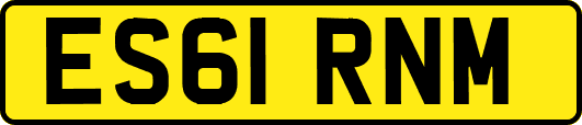 ES61RNM