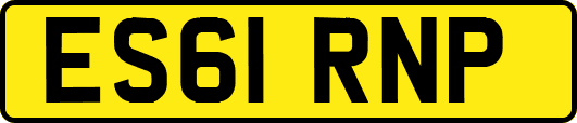 ES61RNP