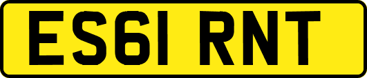 ES61RNT