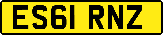 ES61RNZ