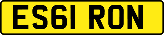 ES61RON