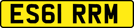 ES61RRM