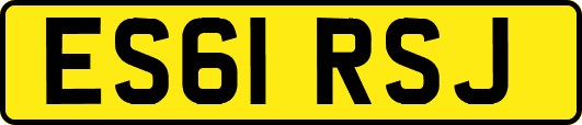 ES61RSJ