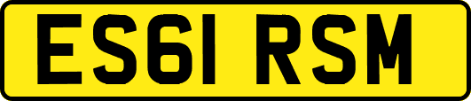 ES61RSM