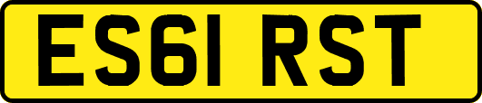 ES61RST
