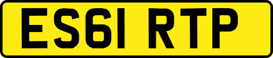 ES61RTP