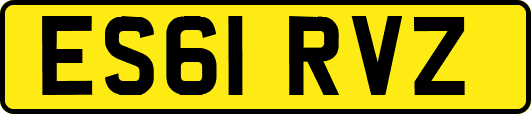 ES61RVZ