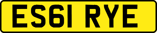 ES61RYE