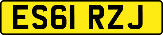 ES61RZJ