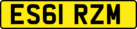 ES61RZM