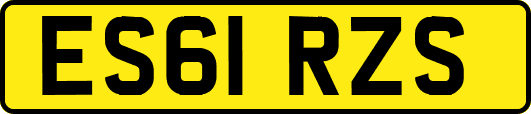 ES61RZS