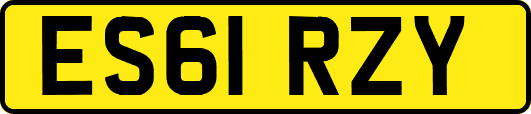 ES61RZY