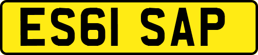 ES61SAP