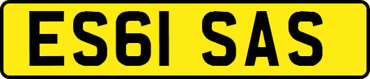 ES61SAS