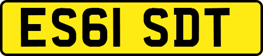 ES61SDT