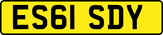 ES61SDY