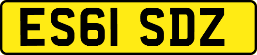 ES61SDZ